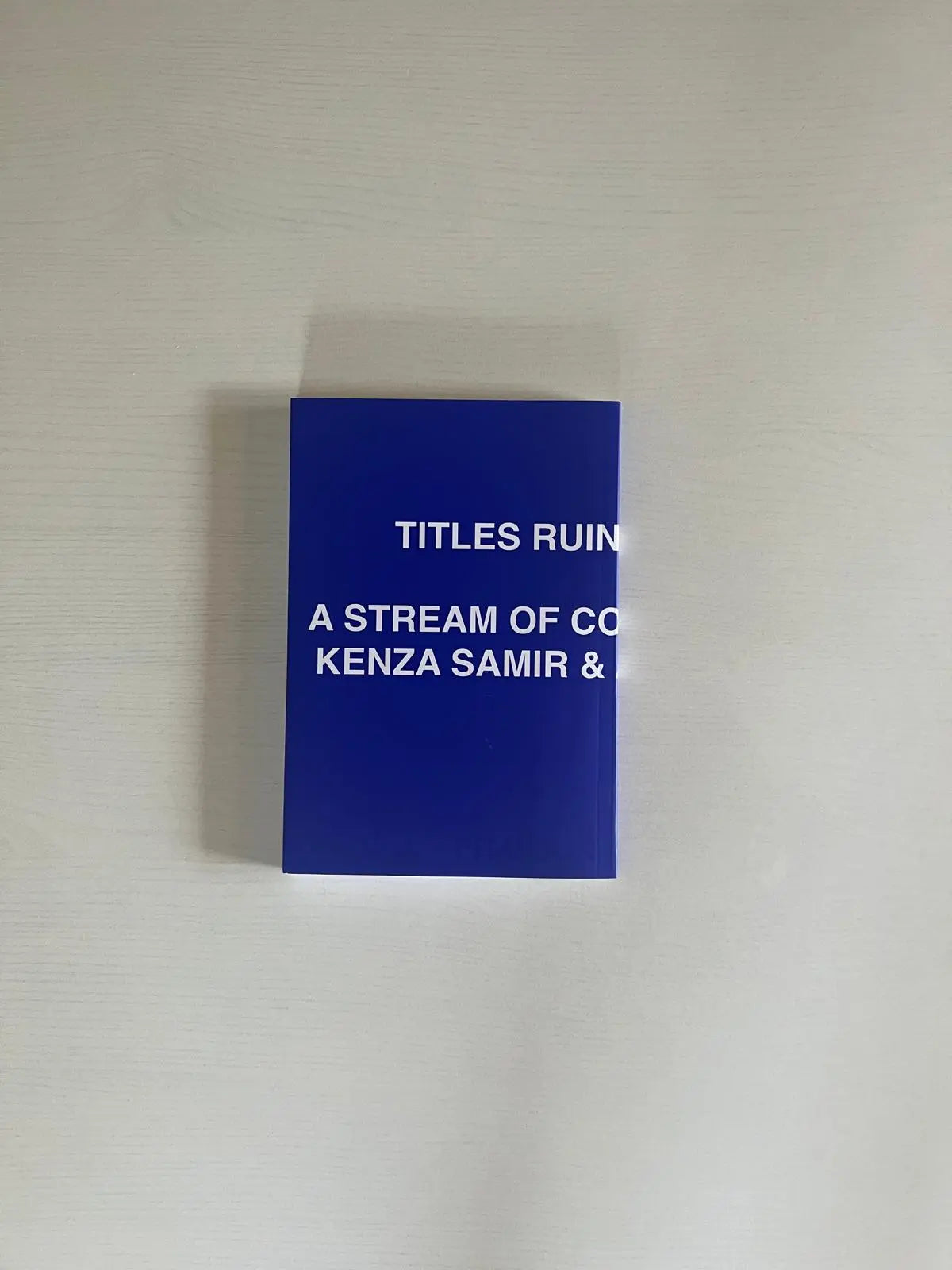TITLES RUIN EVERYTHING